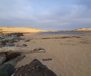 Mobil-home 3 chambres Clim n° 45