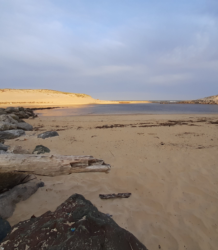 Mobil-home 3 chambres Clim n° 45