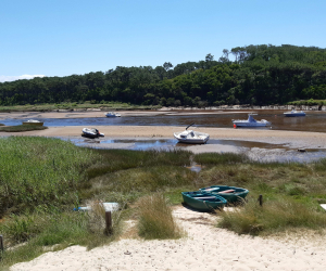 Mobil-home 3 chambres Clim n° 45