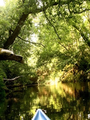 Bienvenue sur mobilhome-landes.fr